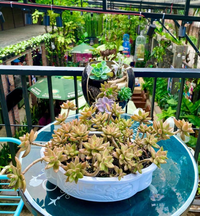 Jrai Homestay Pleiku Exteriör bild